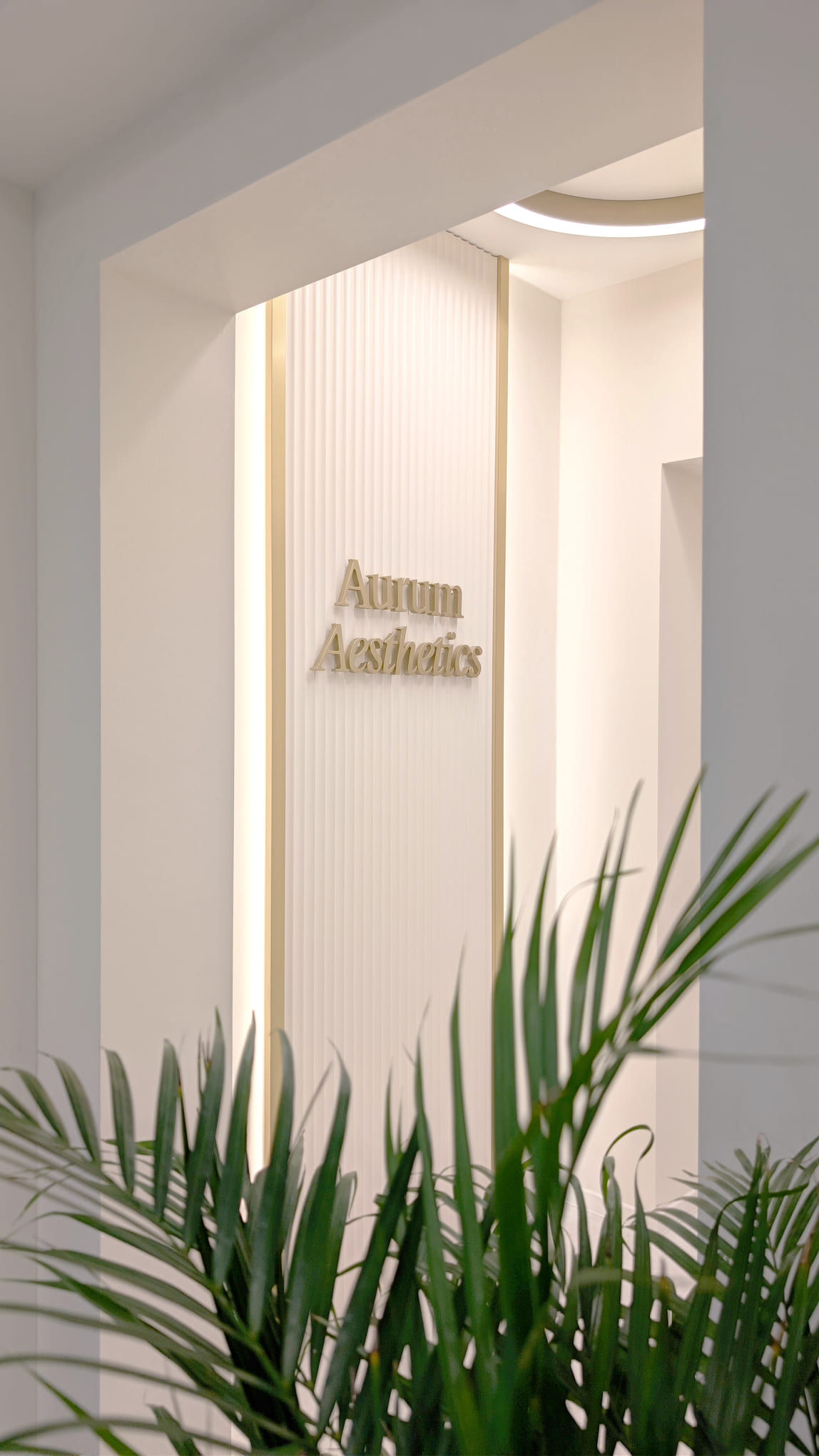 Elegante weisse Wand mit goldenem Schriftzug Aurum Aesthetics und gruener Palme